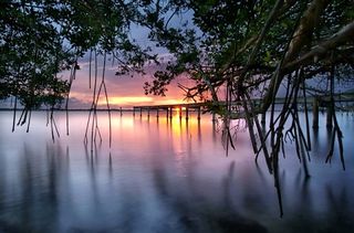 Indian River Lagoon Sunset